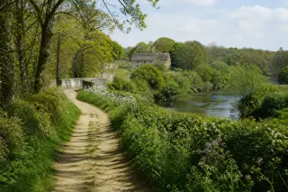 Shaded rural hiking path beside fields and the Sèvre Nantaise river, bordered by hedgerows and dotted with wildflowers, under soft spring sunlight, with a distant old stone bridge.